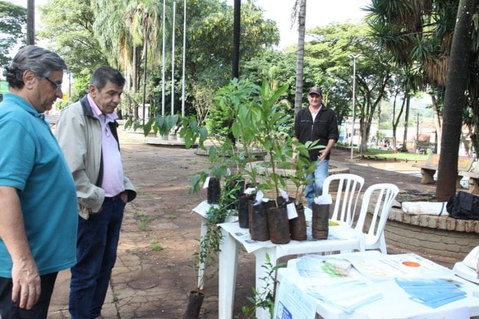 doacao_mudas_0806_carlos_natal_img_9407