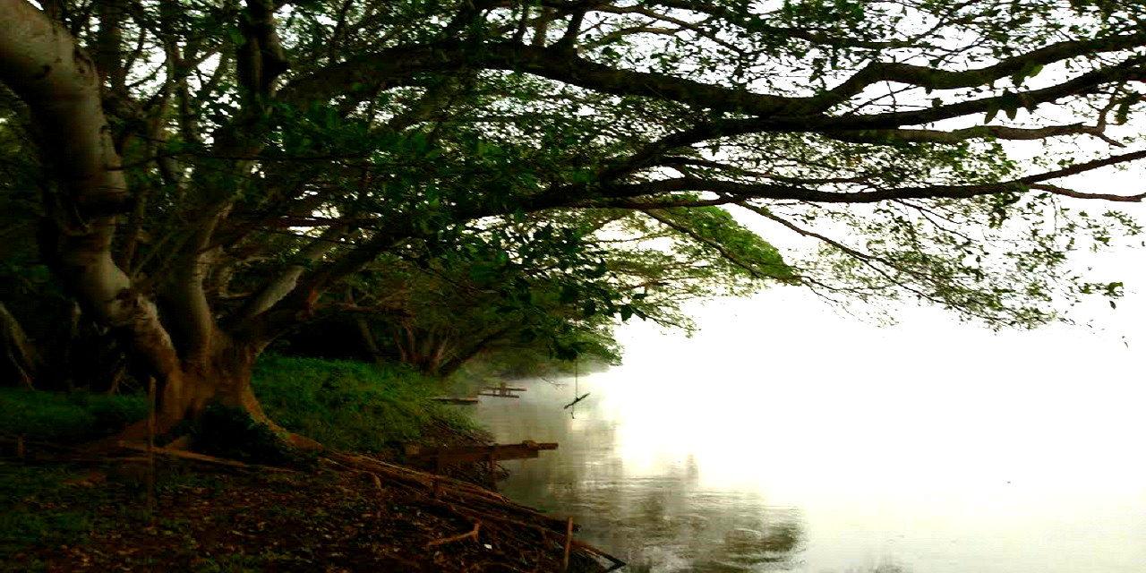 Morro Agudo - rio - arvore - turismo