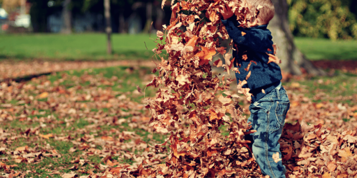 🍂 Outono Chega Arrasando com Temperaturas
