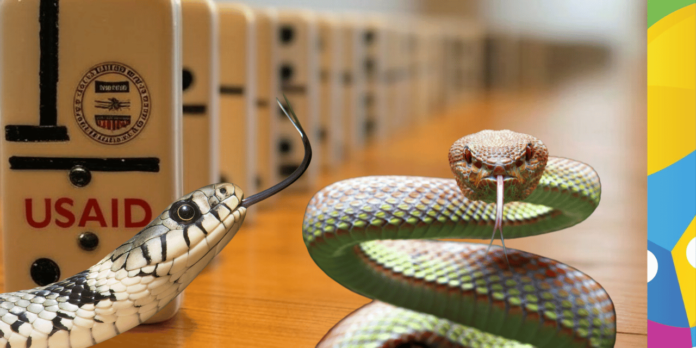 Elon Musk Anuncia Fechamento da USaid “Ninho de Vermes”