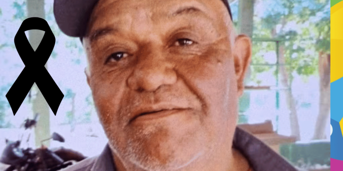 🐝 Servidor de 70 Anos Morre Após Ser Atacado por Enxame de Abelhas em Taquaritinga